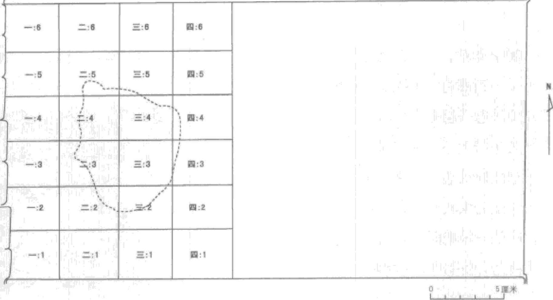 1.甲片现场的清理与提取